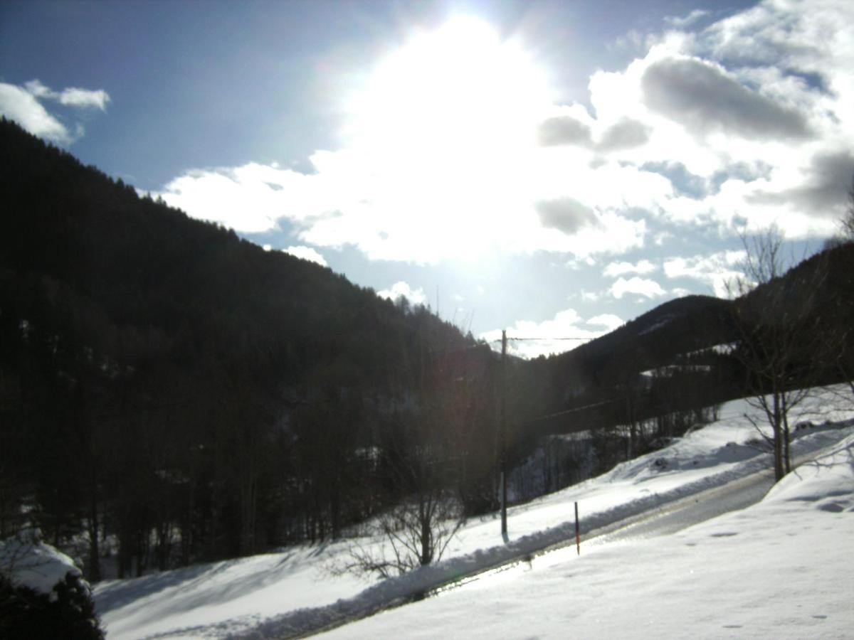 Chalet ?Snow Bunny? Stadl an der Mur Exterior foto